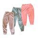 Branded Track Pants - 50 PCS 0132 фото 1